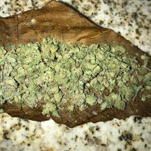 Meet your Posher, George